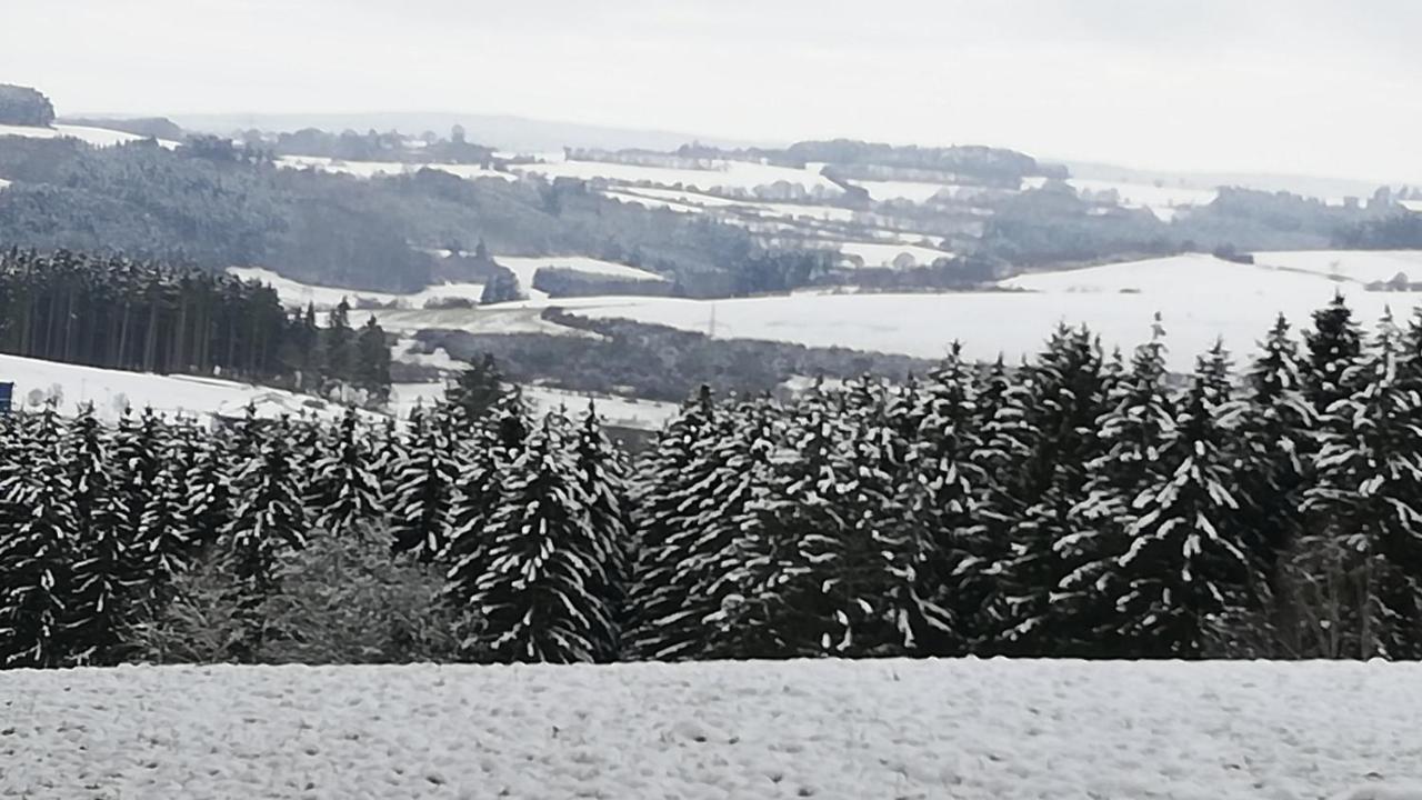 Eifel-Ferienhaus Marga 普鲁姆 外观 照片