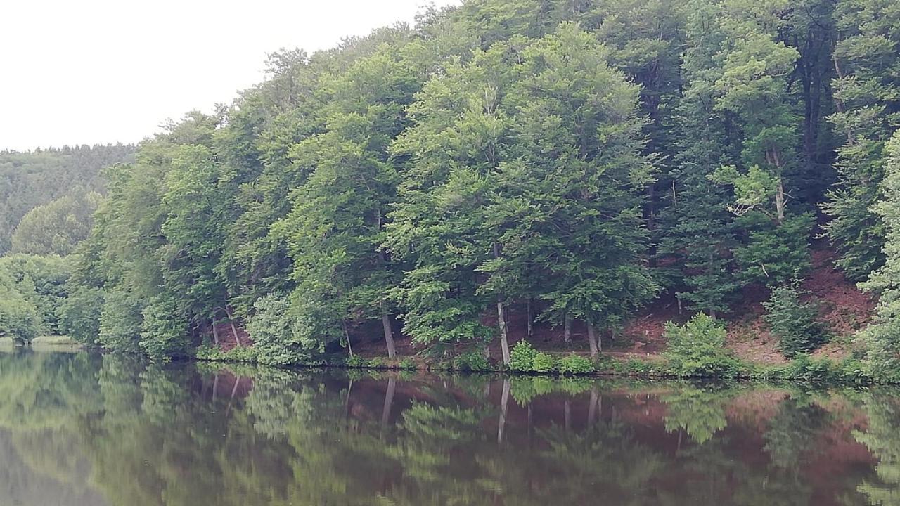 Eifel-Ferienhaus Marga 普鲁姆 外观 照片